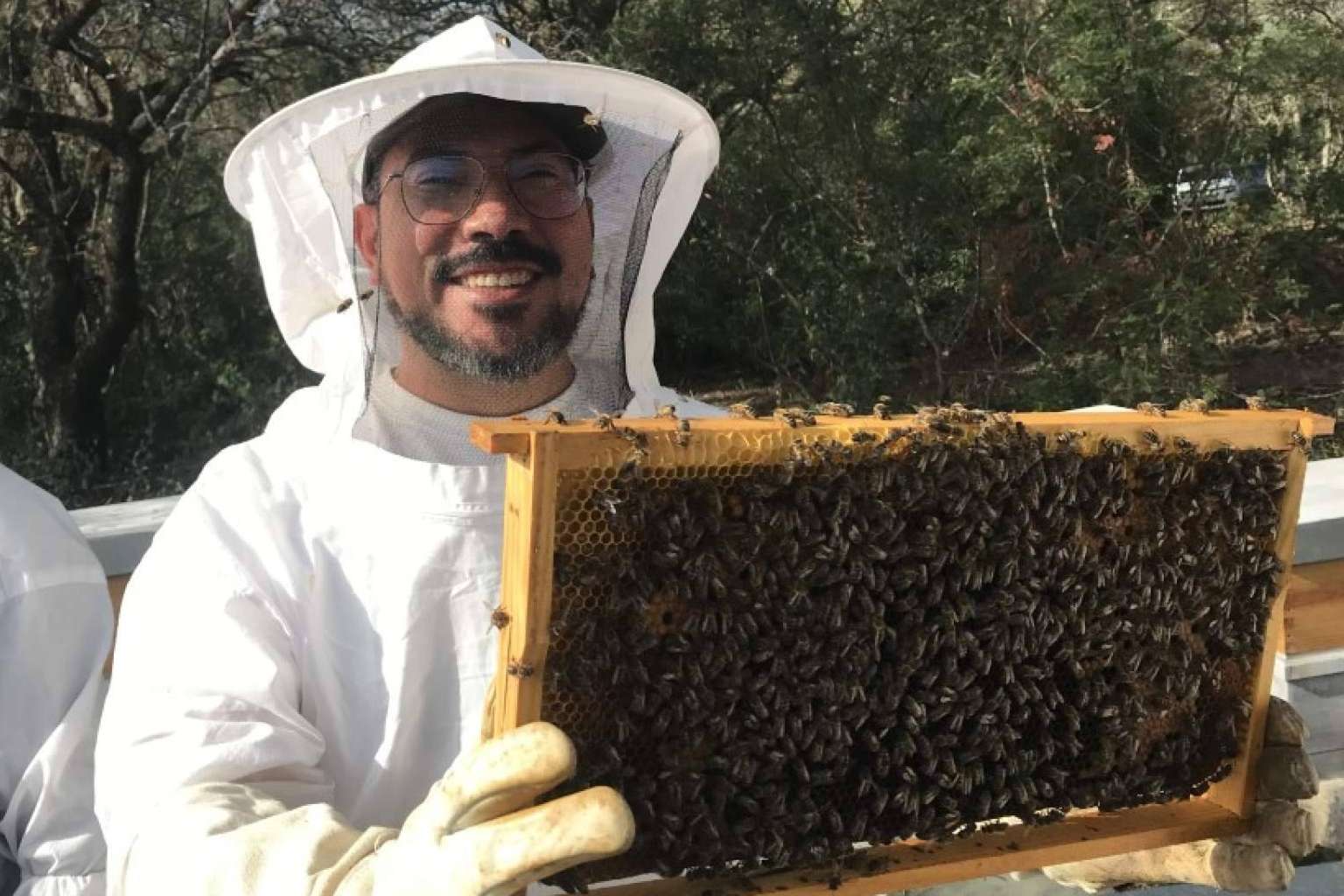 Cursos de Apicultura y su idea de alternativa para una vida saludable