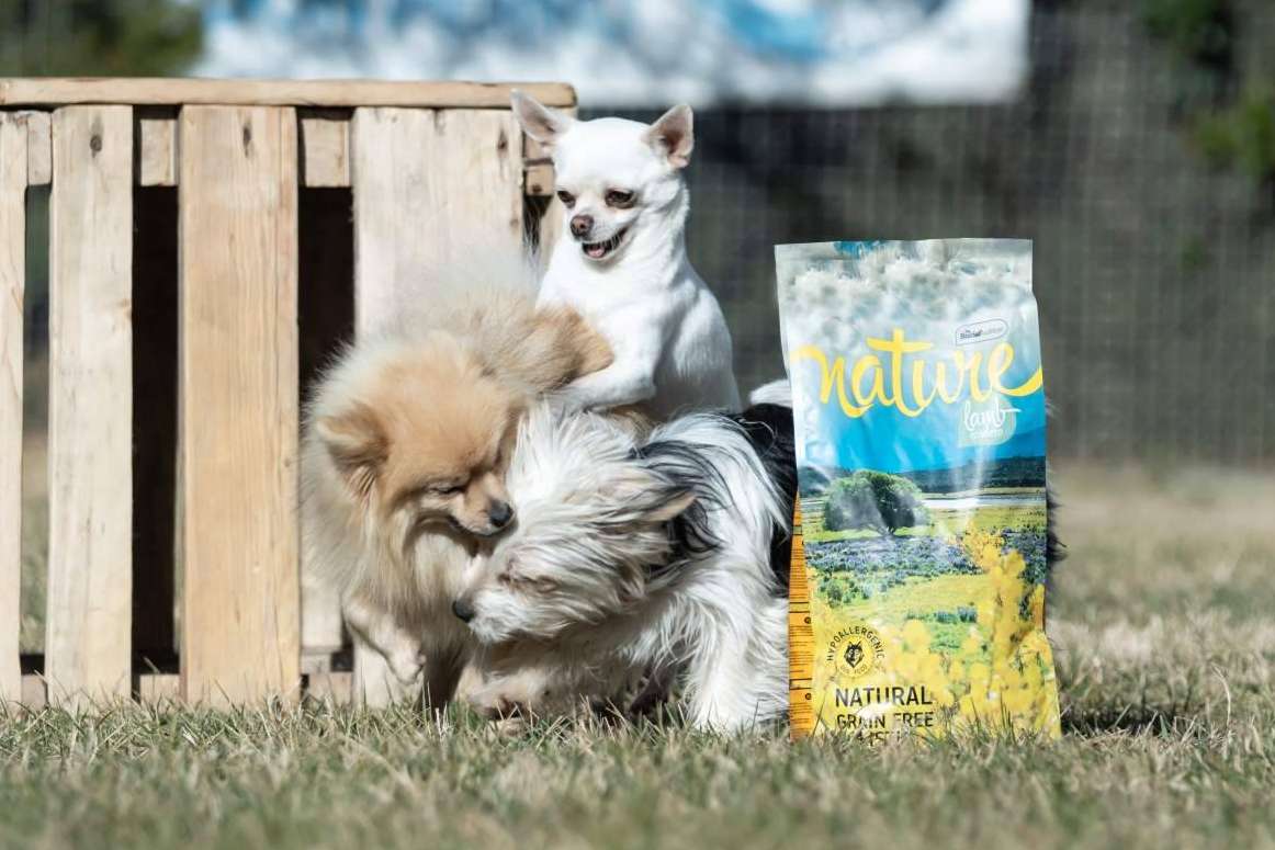 La gama Nature de Satisfaction, un pienso hipoalergénico para perros