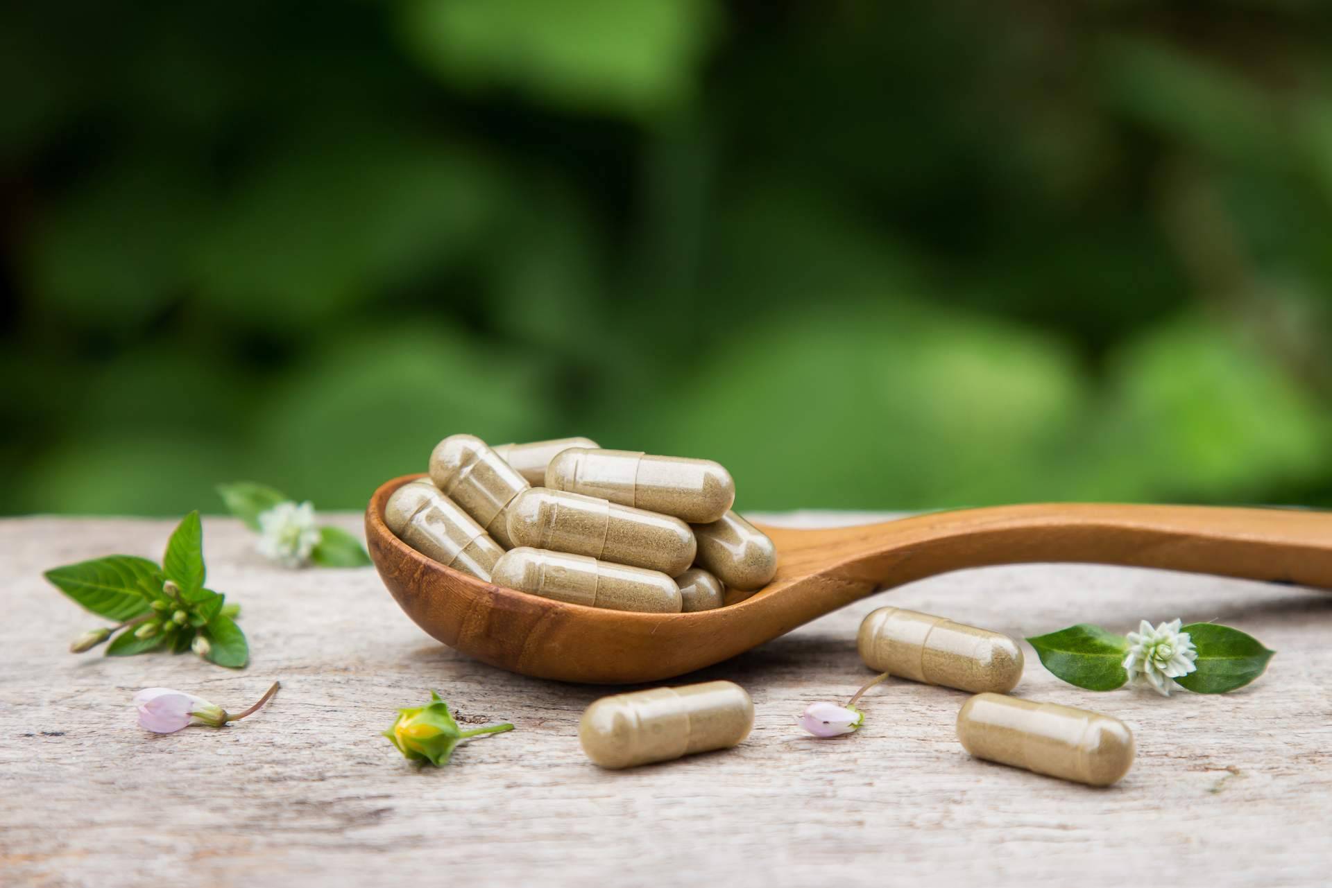 Comdiet Roig Laboratorios lanza Orégano Plus, el antibiótico natural para infecciones bacterianas y víricas