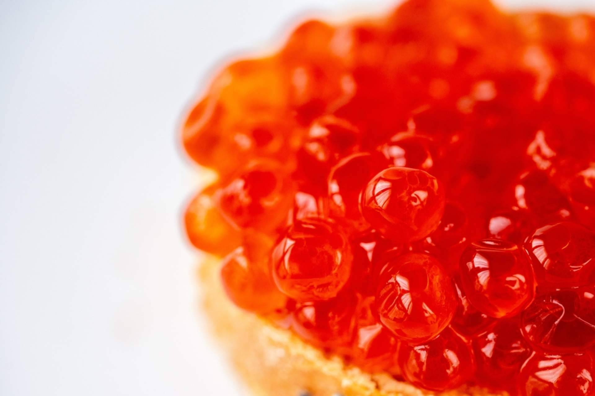 ¿Cuáles son las propiedades de las huevas de salmón?, con Spherika