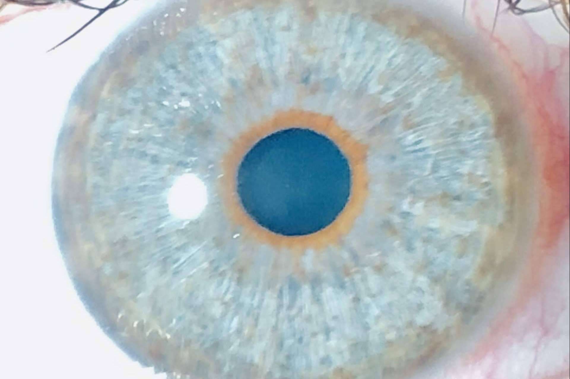 Distribución del color de ojos, con Eyecos