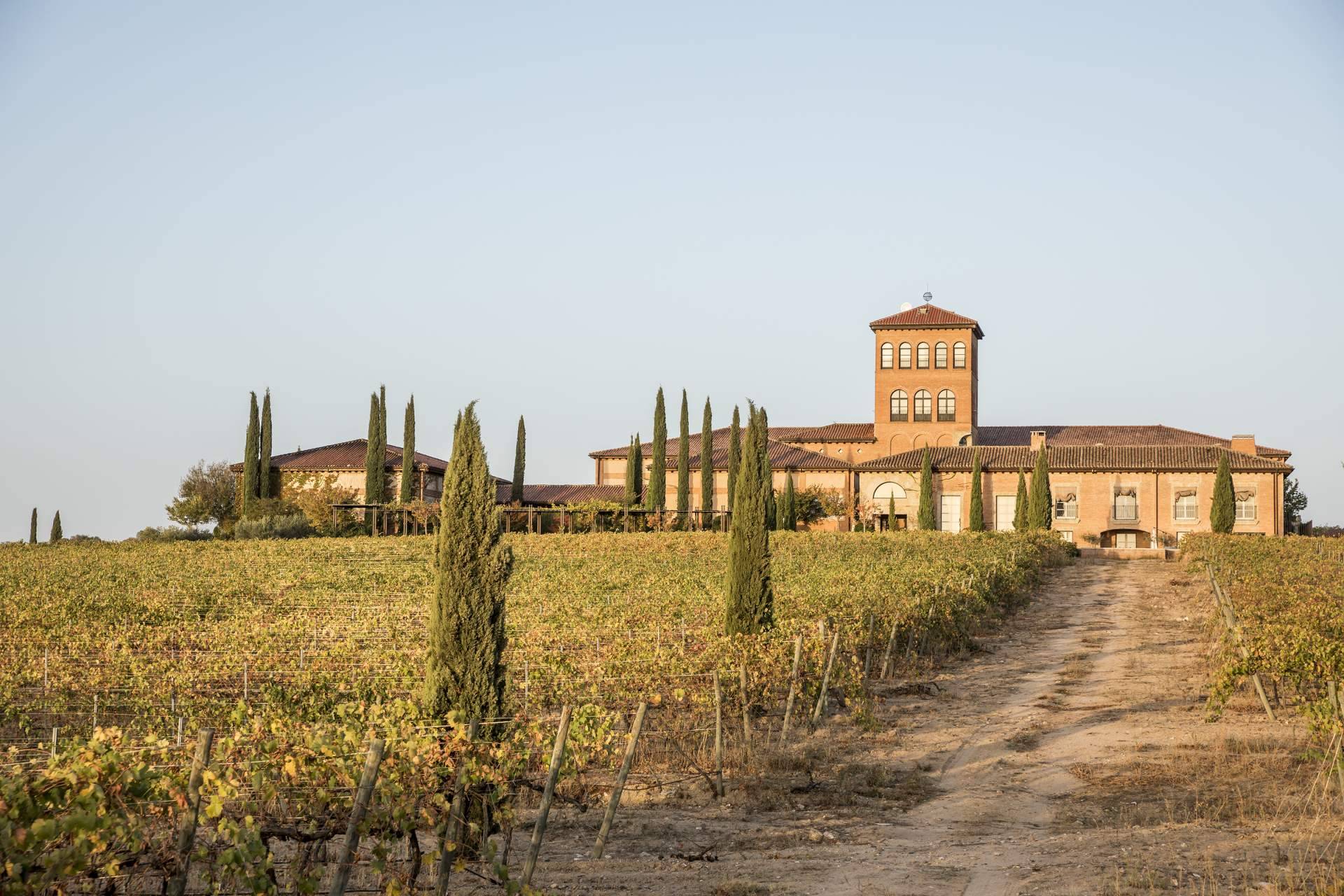 Hacienda Zorita, el vino de lujo de los Arribes del Duero, llega a Salamanca en exclusiva de la mano de Comercial de Vinos Acera