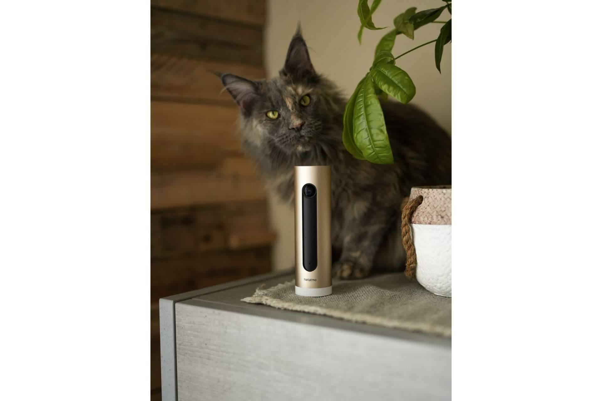 Netatmo, algunas de las mejores cámaras de seguridad del mercado