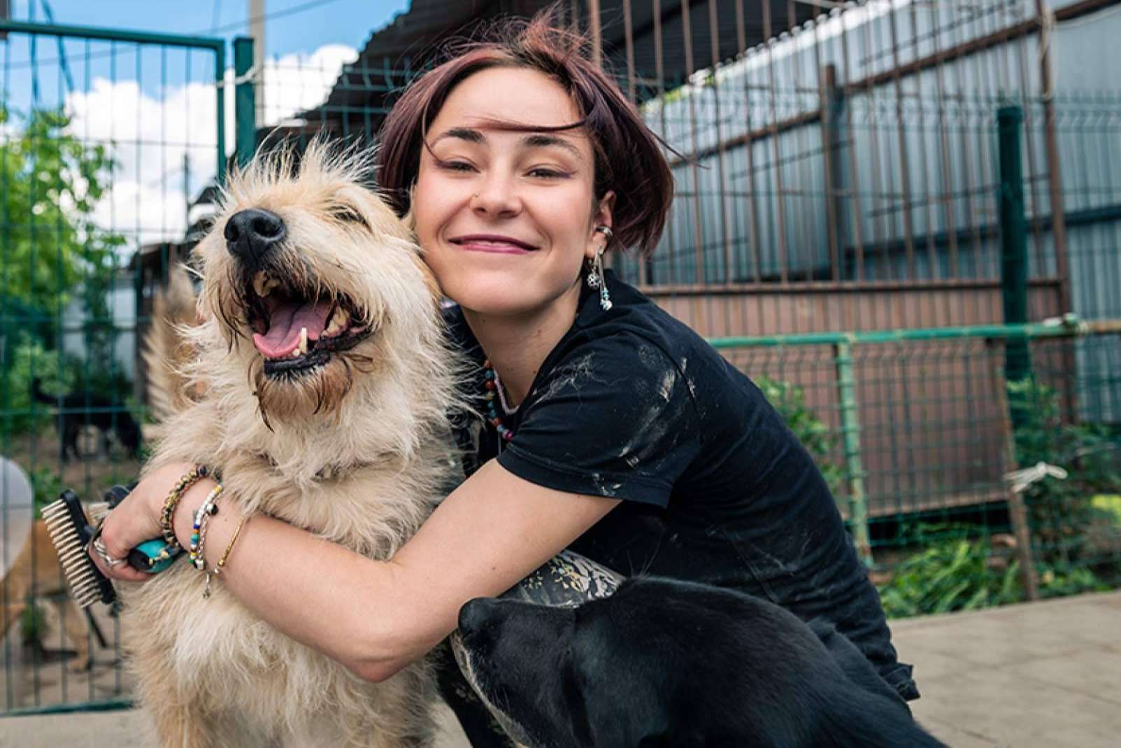 La Ley de Bienestar Animal incentiva la contratación de seguros para perros