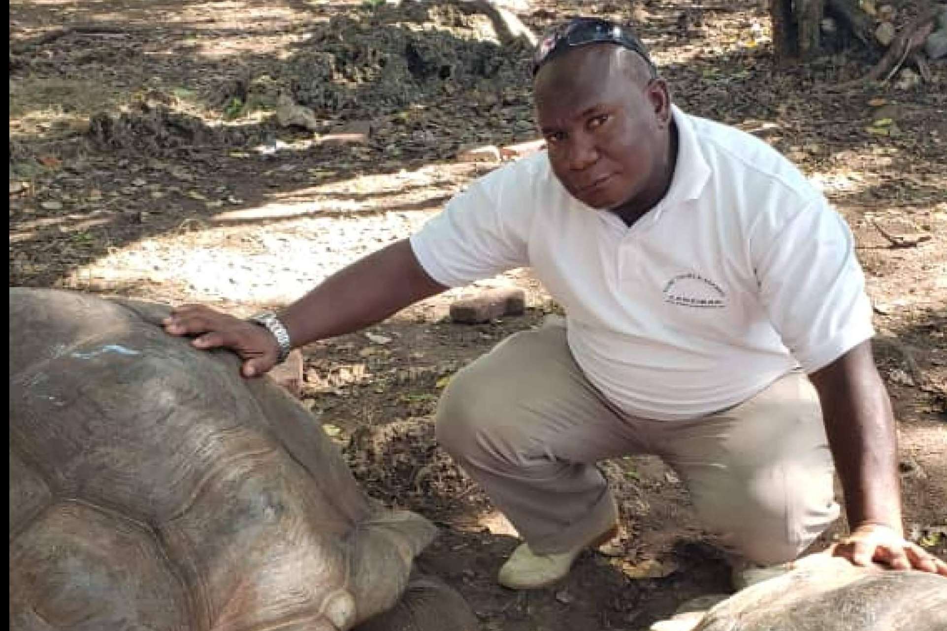 Kobe Tours y Safaris y sus safaris en Tanzania para descubrir su naturaleza y cultura