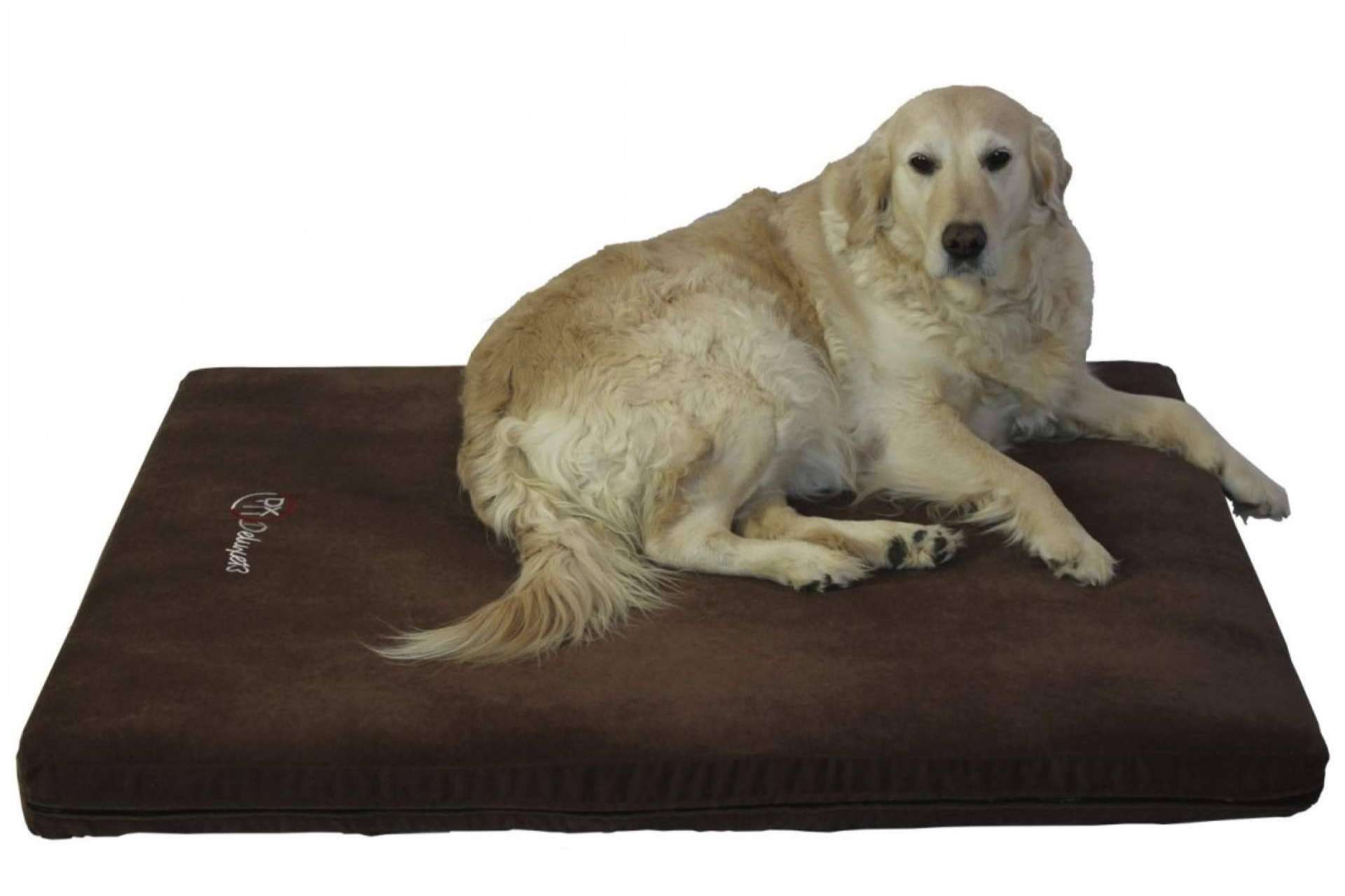 Deluxe13 y su catálogo de camas para perros