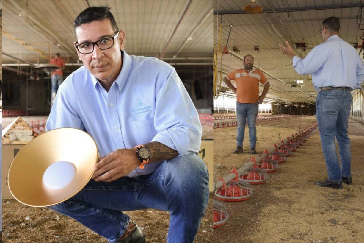 Optimizar la producción avícola con AméricaAgro; asesoría de vanguardia