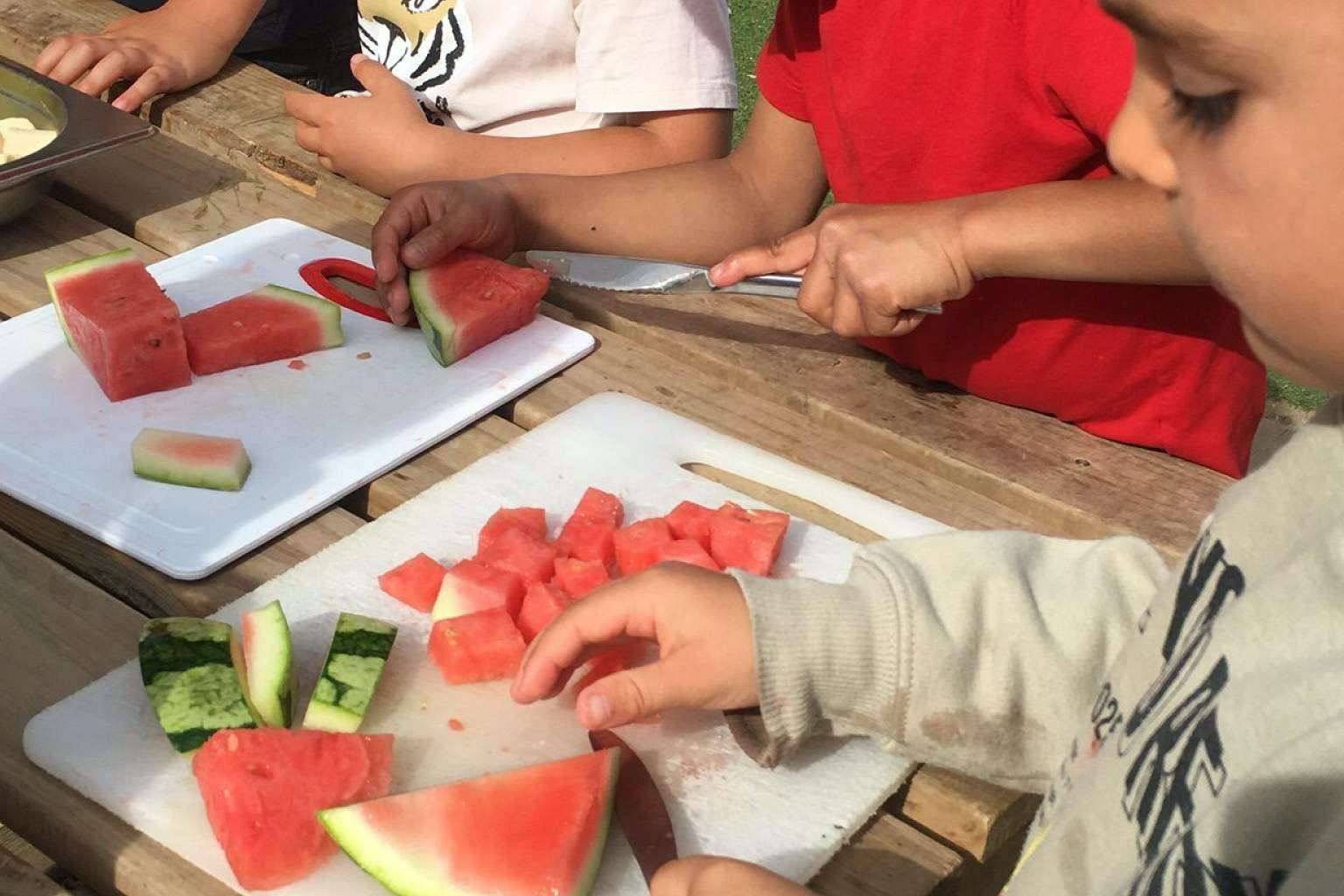 Menús vegetarianos y veganos adaptados a alergias, con Creanova