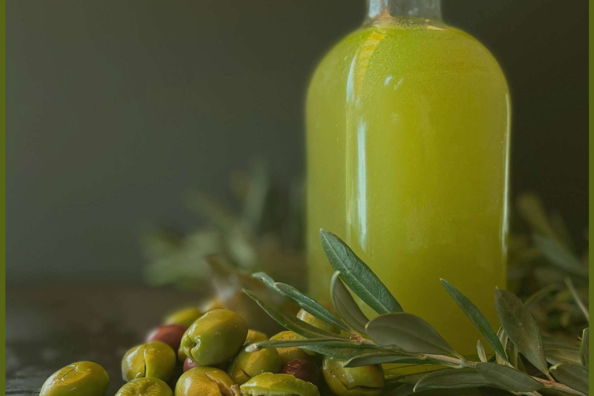 Olipaterna, productores españoles de aceite de oliva virgen extra