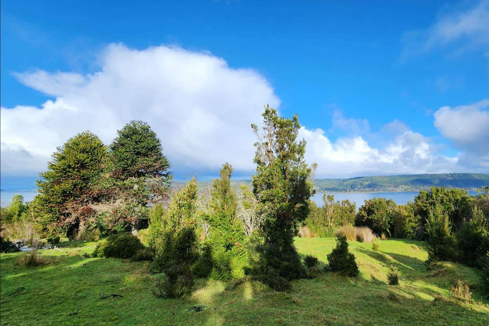Latitudes Australes proporciona lugares ideales en Chiloé para invertir en una parcela