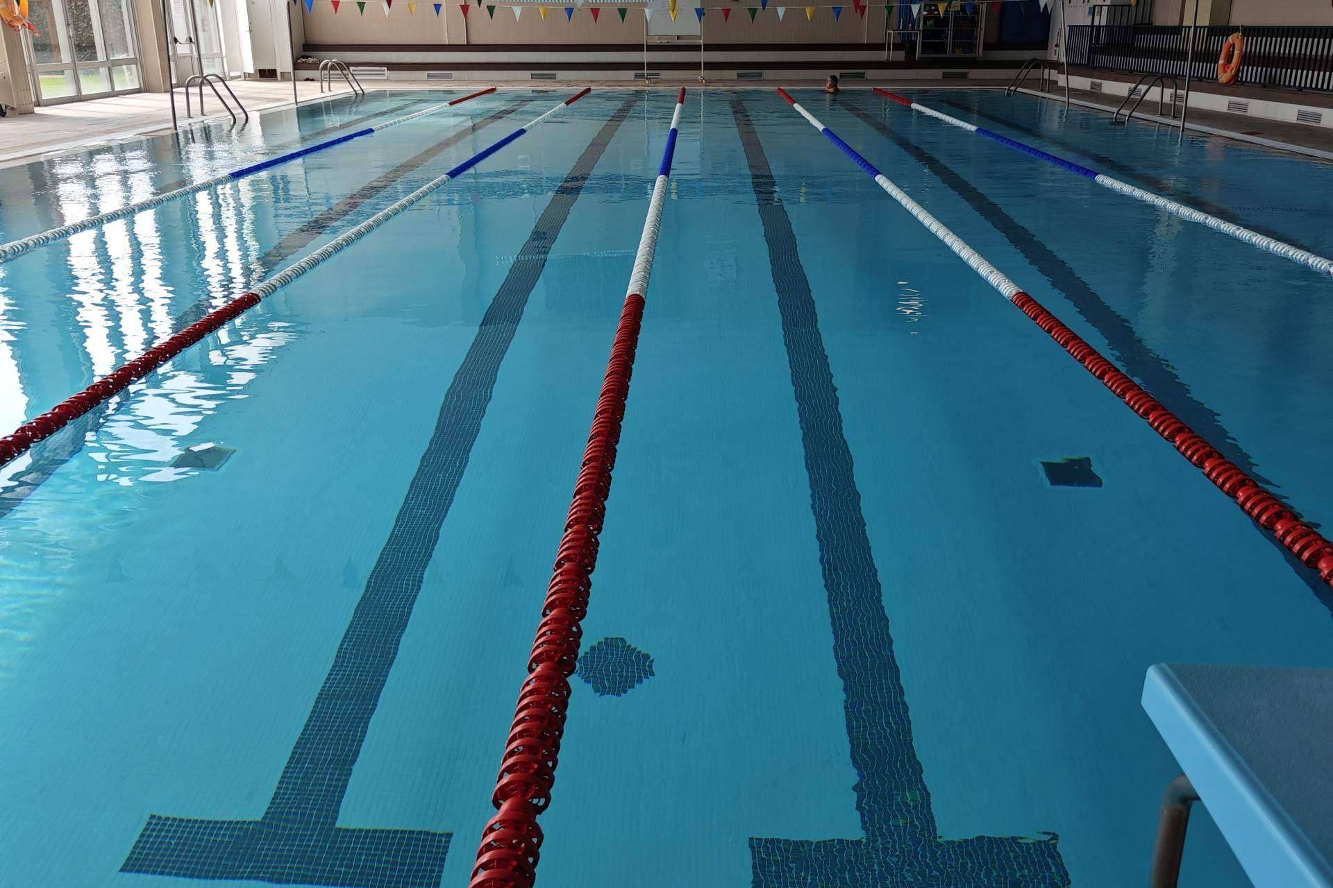 Adquirir accesorios para la industria de piscinas, de la mano de Pool Tiger Europe