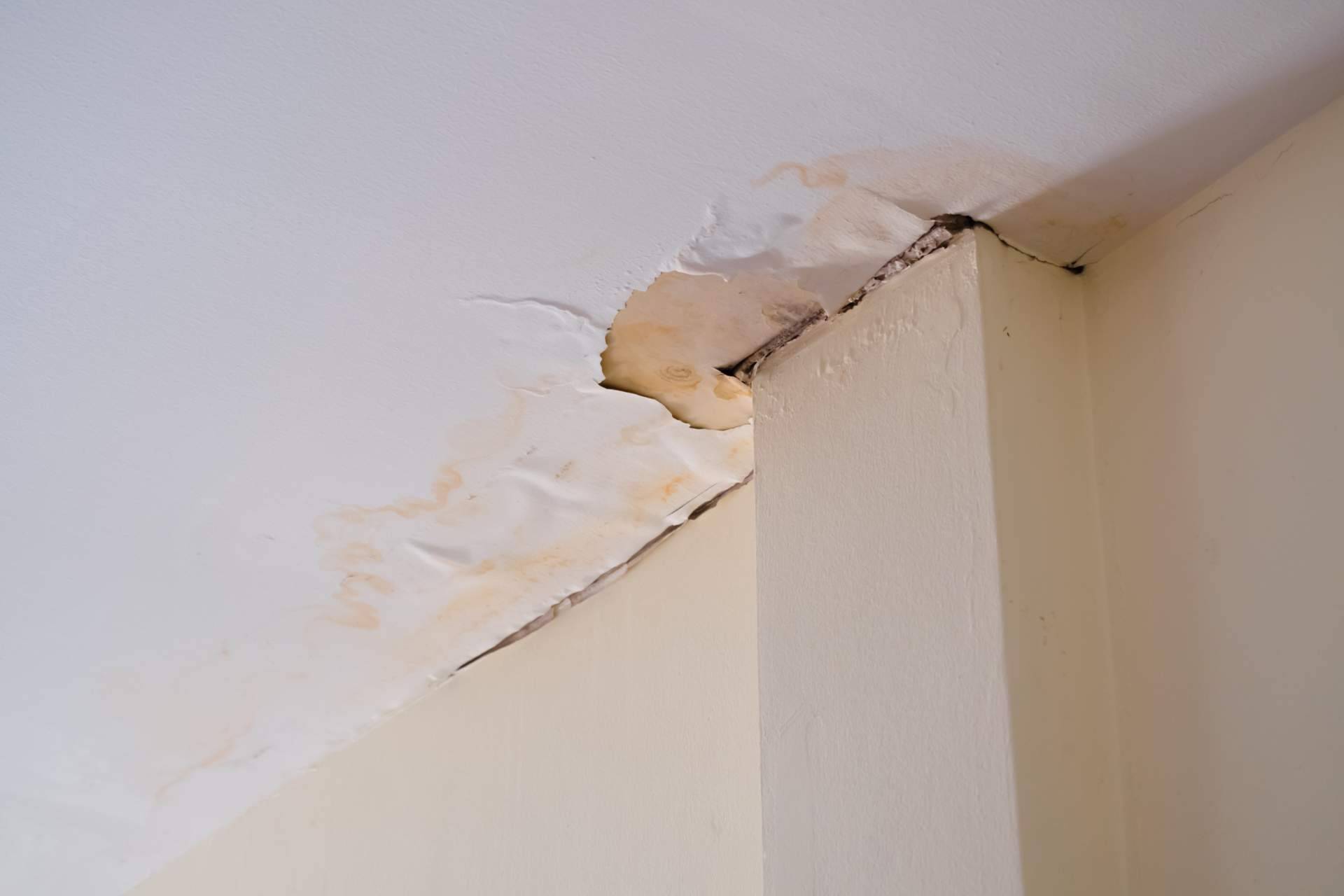Preactiva explica cómo detectar las humedades por capilaridad