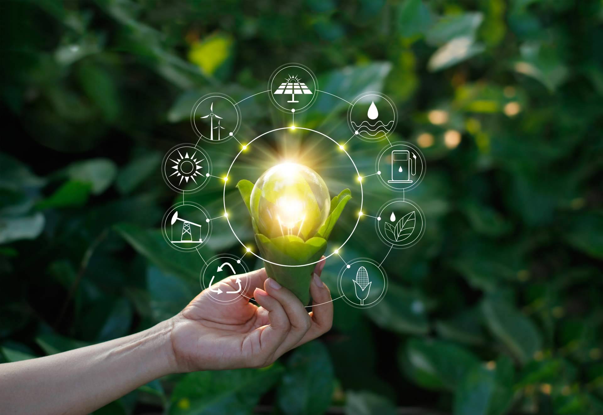 La relevancia de tener una asesoría energética como LuzHogar