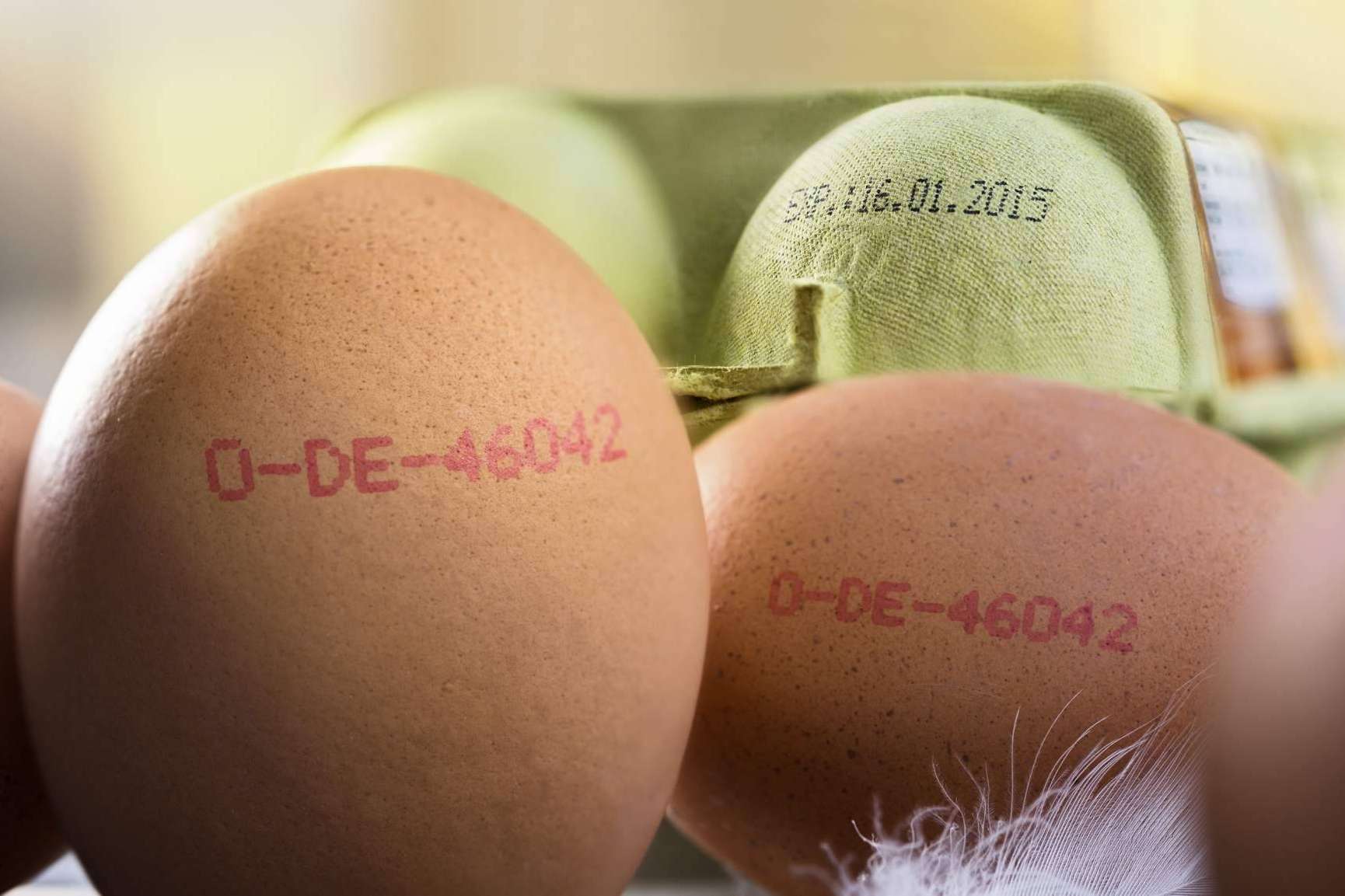 Cómo etiquetar el producto alimentario en España, por Trebol Group