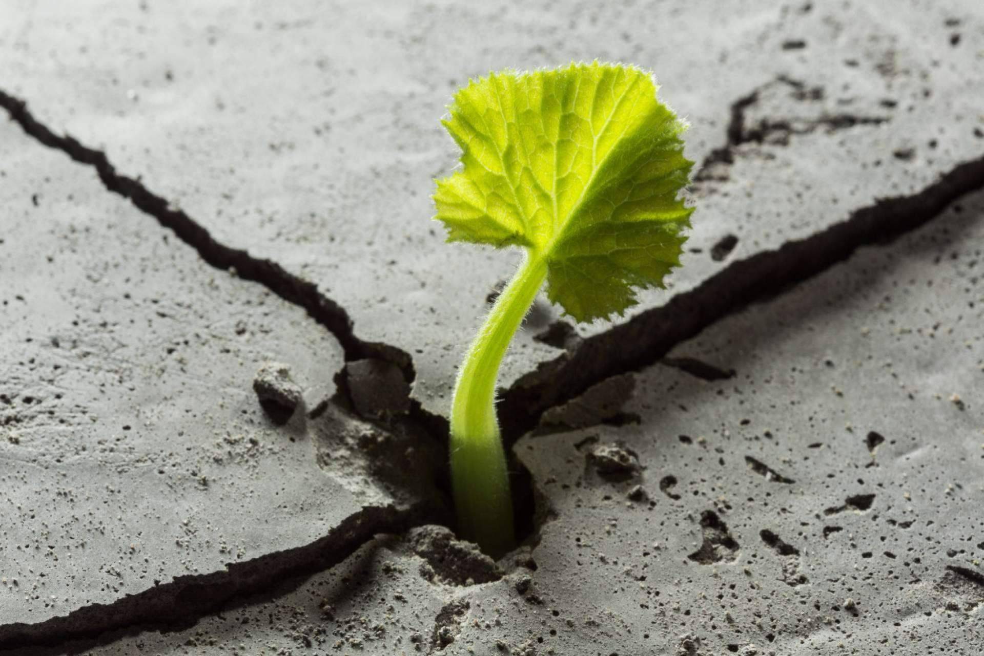 Sentirme Mejor explica qué es la resiliencia