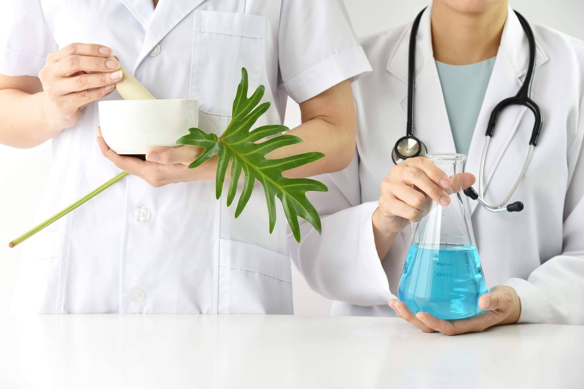 Un análisis profundo sobre la Medicina de la Integridad