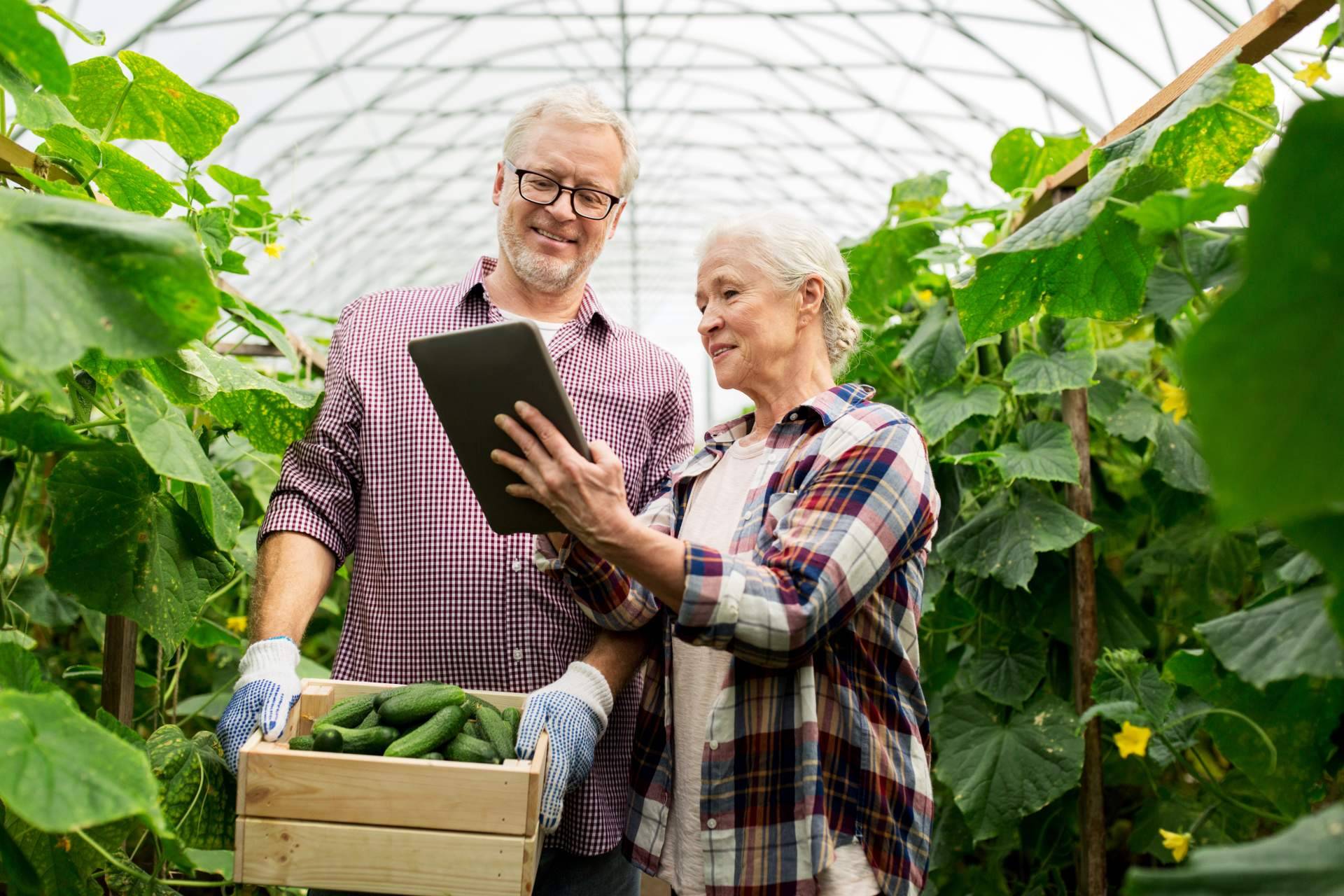 Certitec permite gestionar los cuadernos de campo y la trazabilidad de la producción