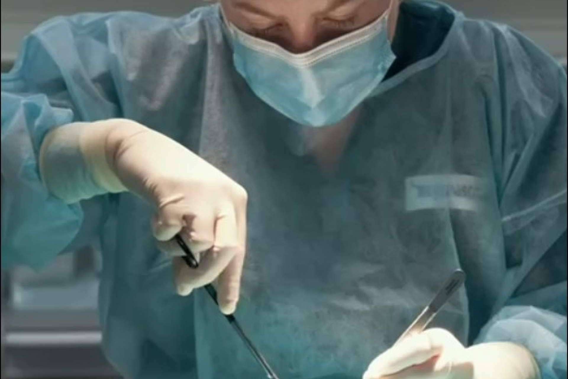 Megamascotas ofrece servicio 24h a las mascotas en la Región de Murcia