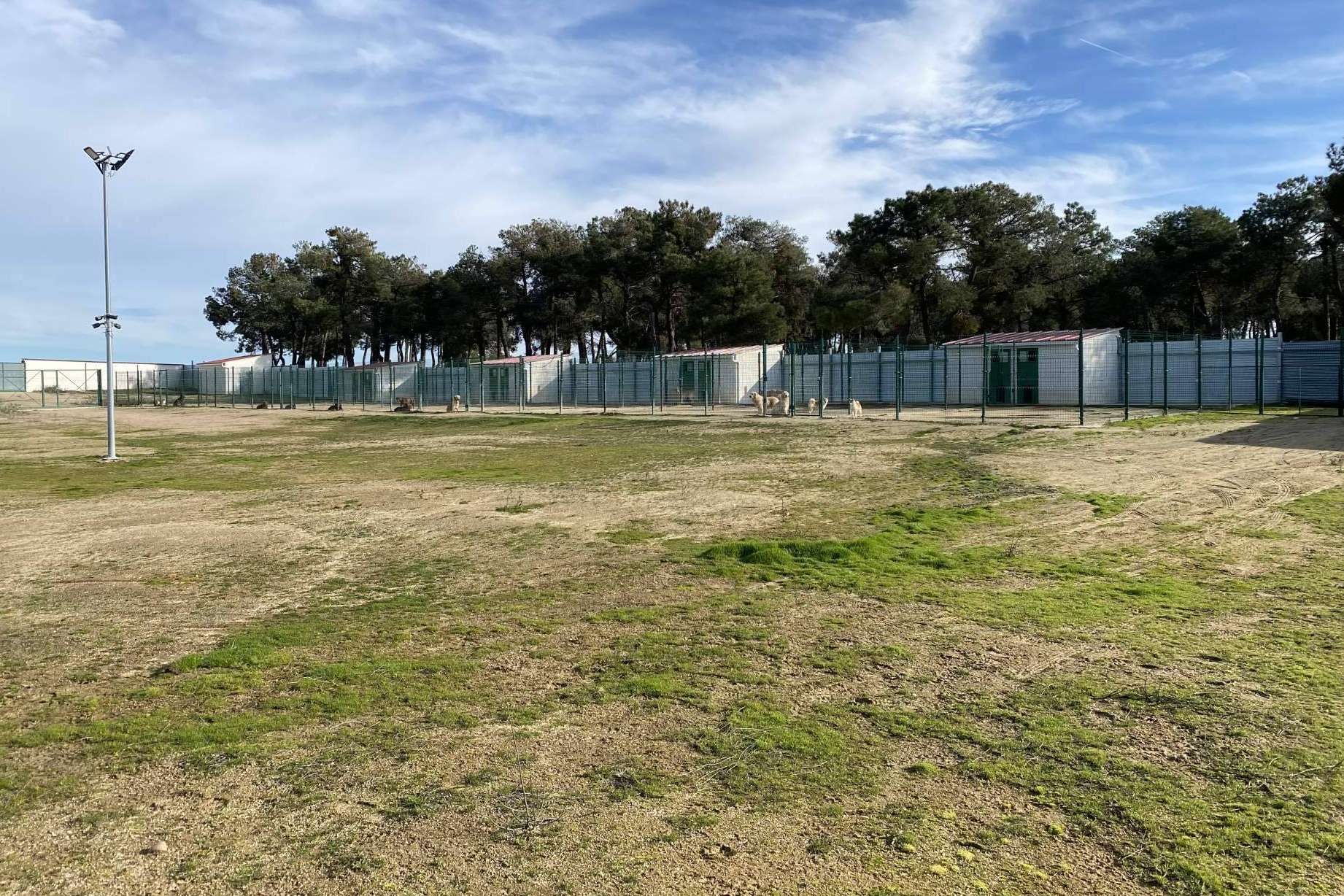 Alto del Pago, centro canino de cría y cuidado responsable