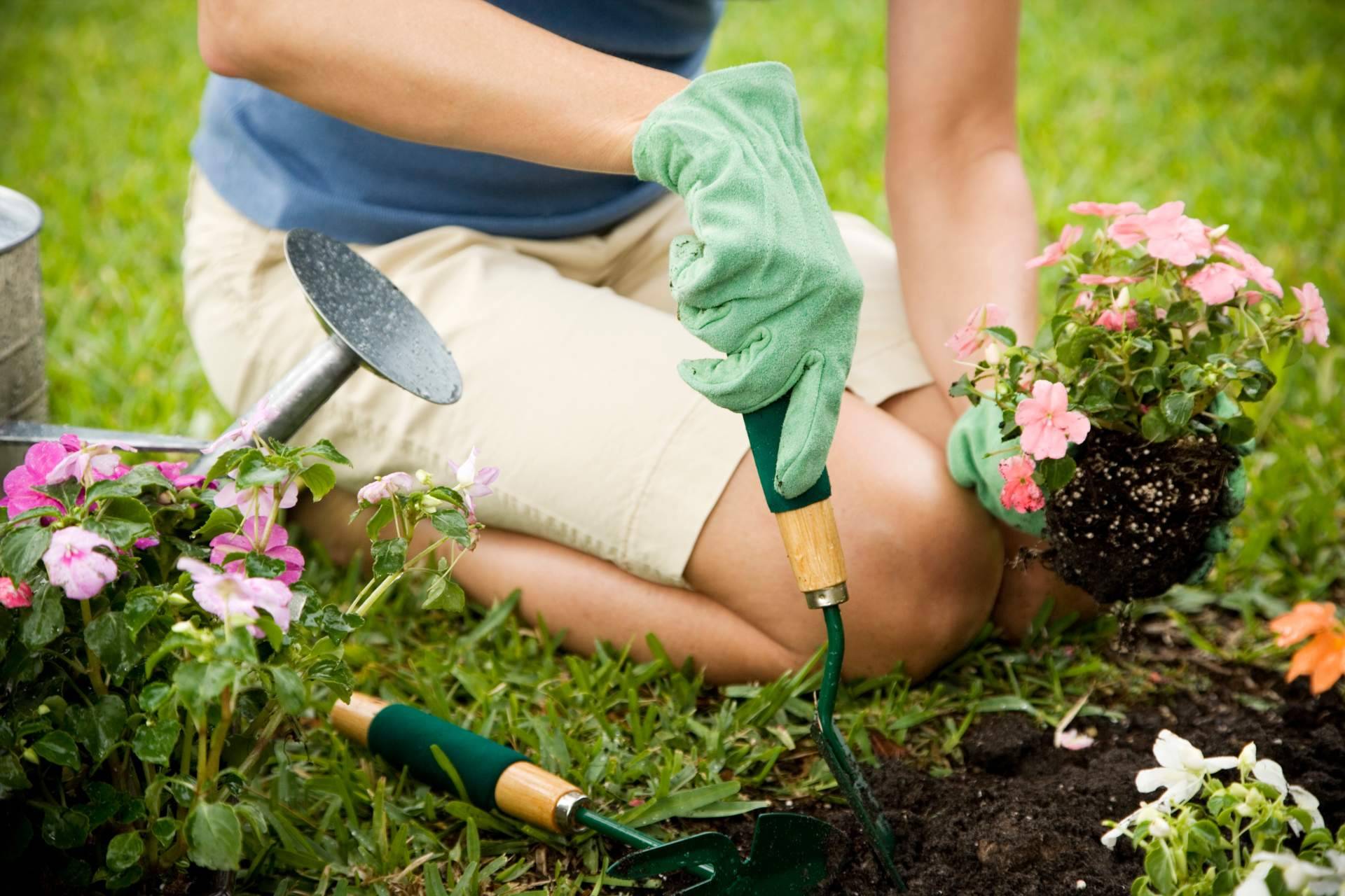 Trinidad Contractor Services se especializa en la limpieza de patios y edificios comerciales
