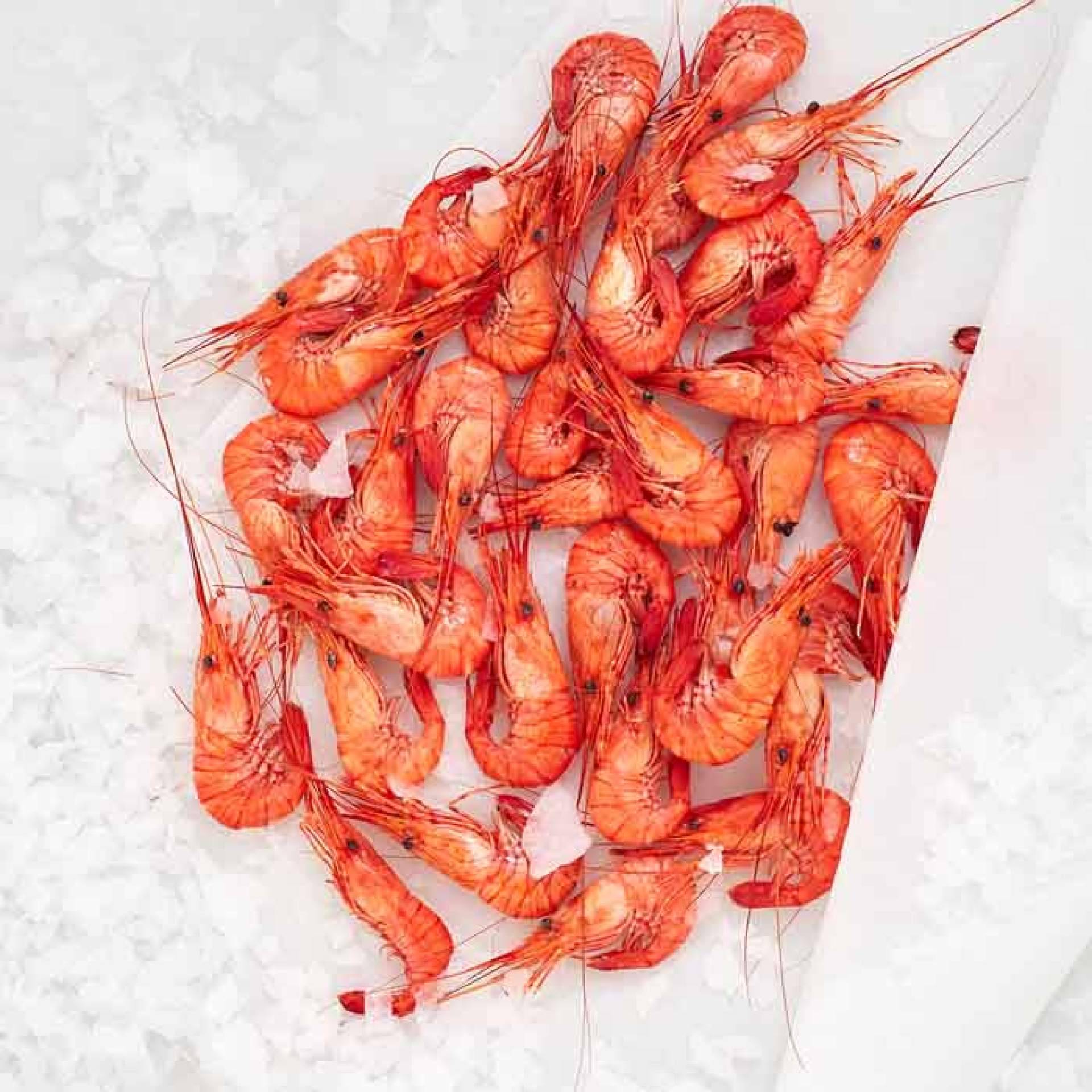 Marisco en Navidad, consejos útiles para anticipar la compra y conservación
