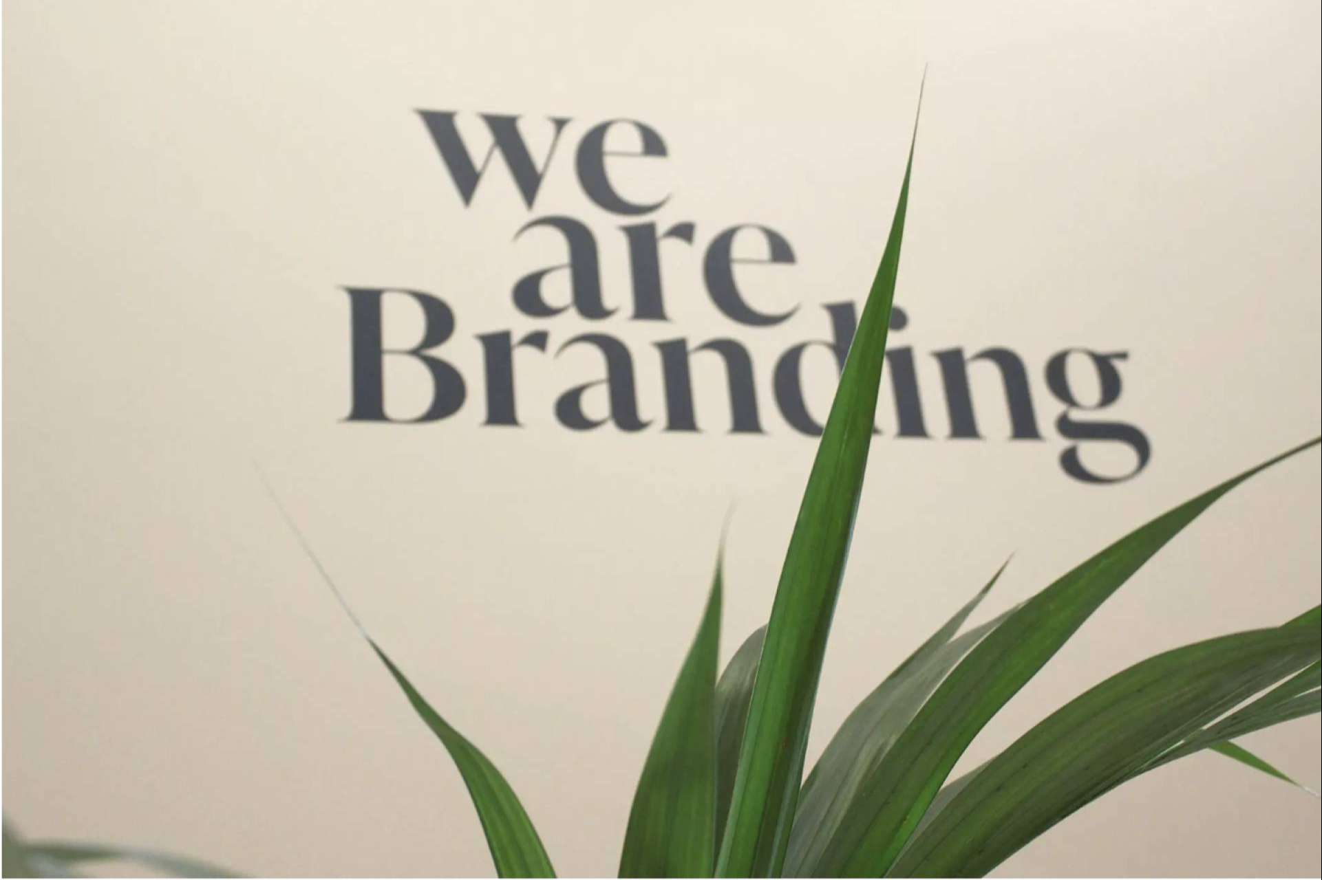 Theyesbrand, el poder del branding en la construcción de marcas memorables