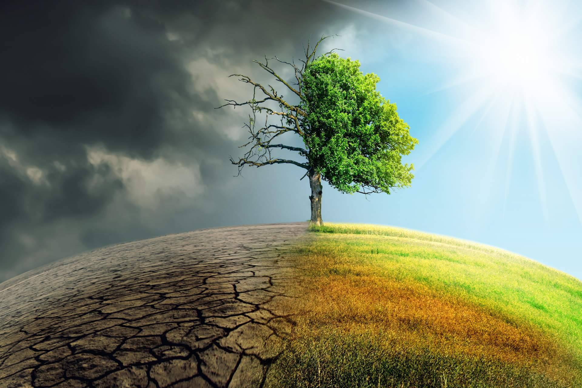 Demos Lab presenta su proyecto 'El Futuro es Clima', una macro encuesta realizada a 9.000 jóvenes