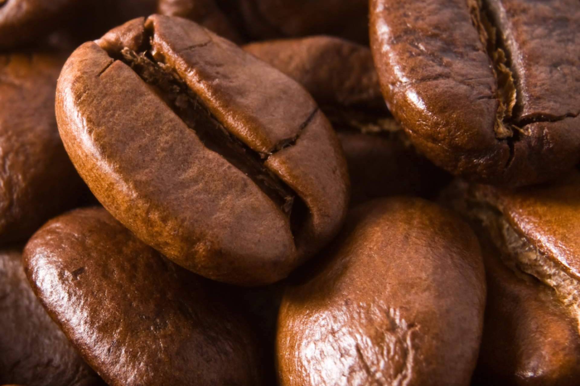 Fresh OCS lleva a las oficinas la calidad del café en grano para potenciar el rendimiento y bienestar