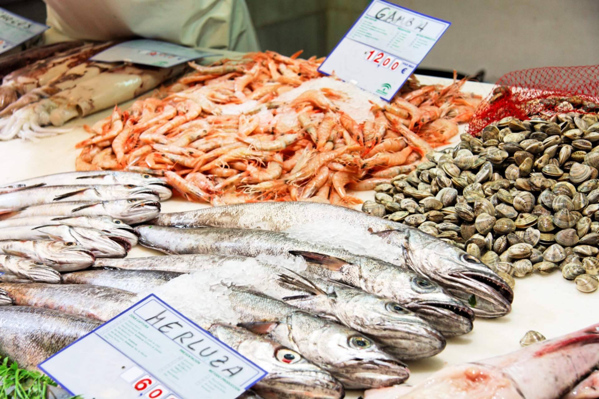 Pescadería Younes Ceuta ofrece productos frescos y de alta calidad directamente del mar