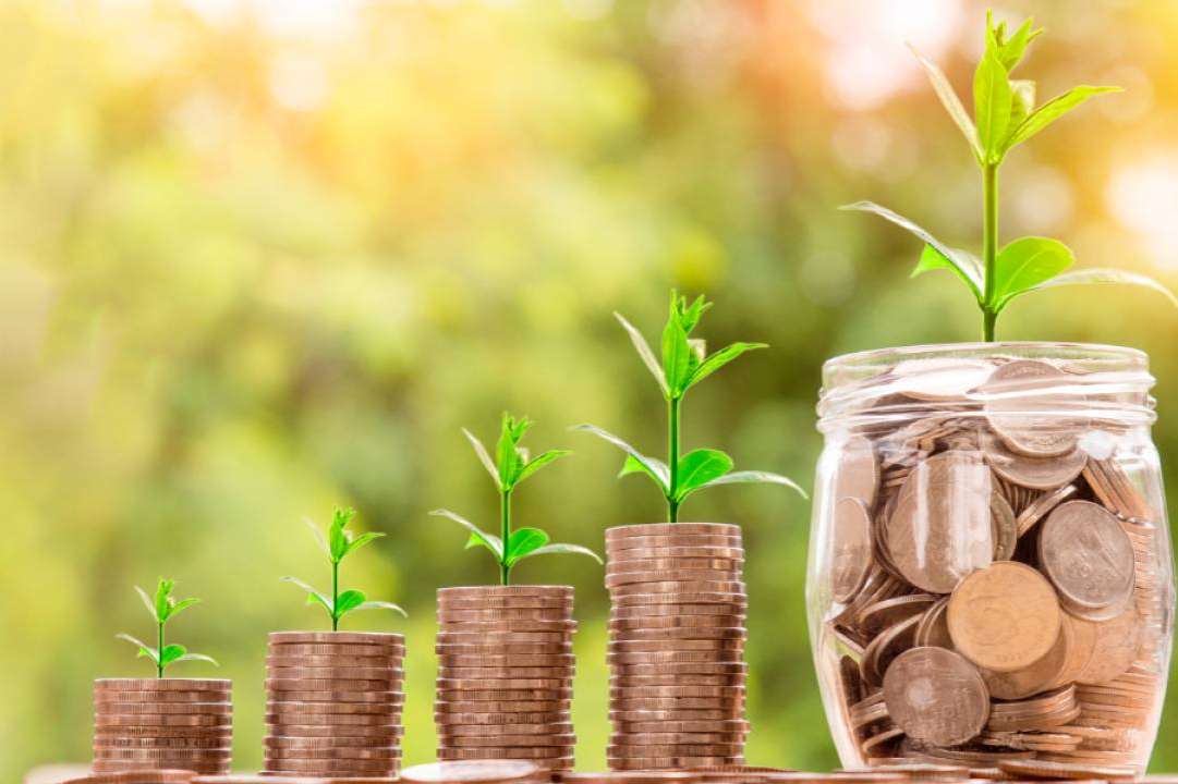 Energía sostenible y economía verde; el impacto positivo de la biomasa en la lucha contra el cambio climático