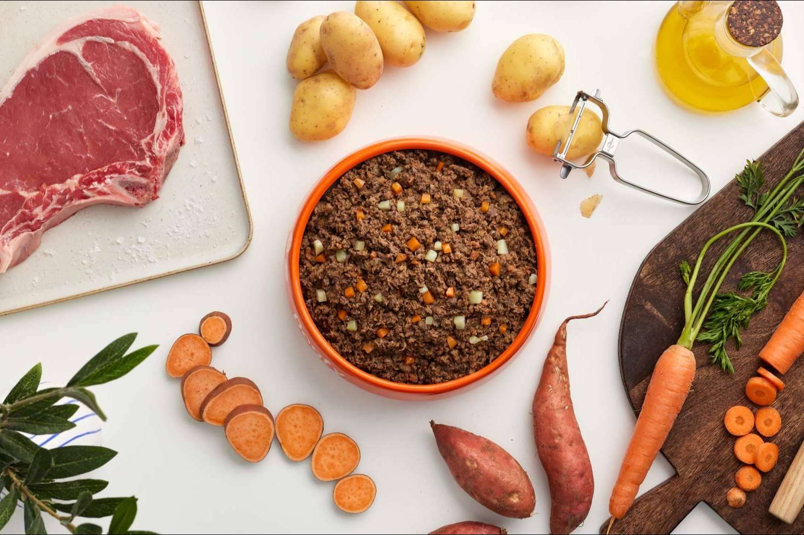 Dogfy Diet, la solución en comida natural para perros en España respaldada por expertos