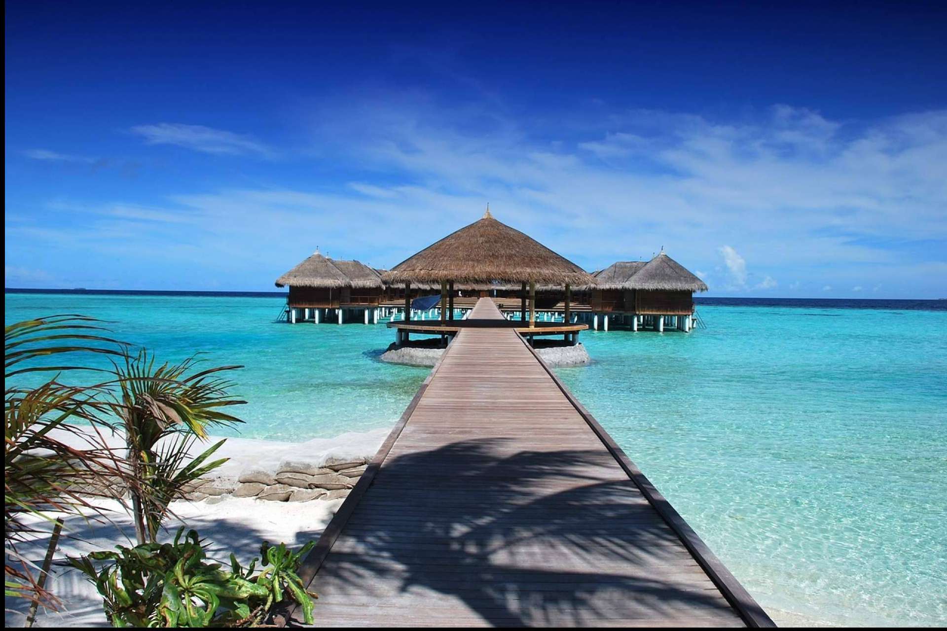 Japón, Maldivas y Argentina entre los destinos estrella en los viajes de novios personalizados de Viajes DQ