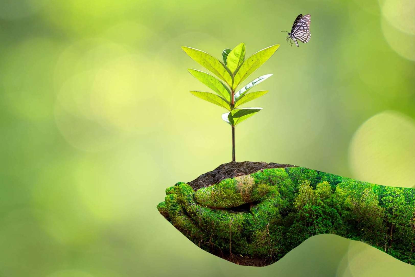 El periódico verde ECOticias.com conecta con millones de lectores en castellano e inglés
