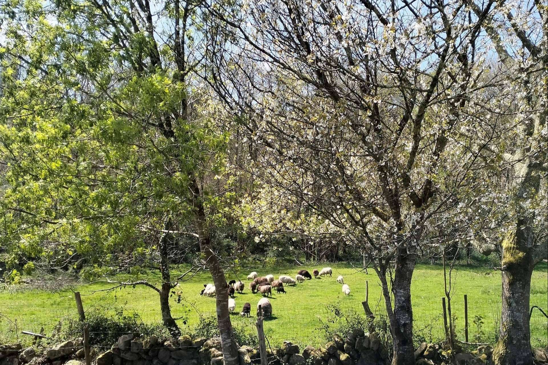 Tres décadas de impulso a la reserva ecoturista en les Mariñes de Villaviciosa