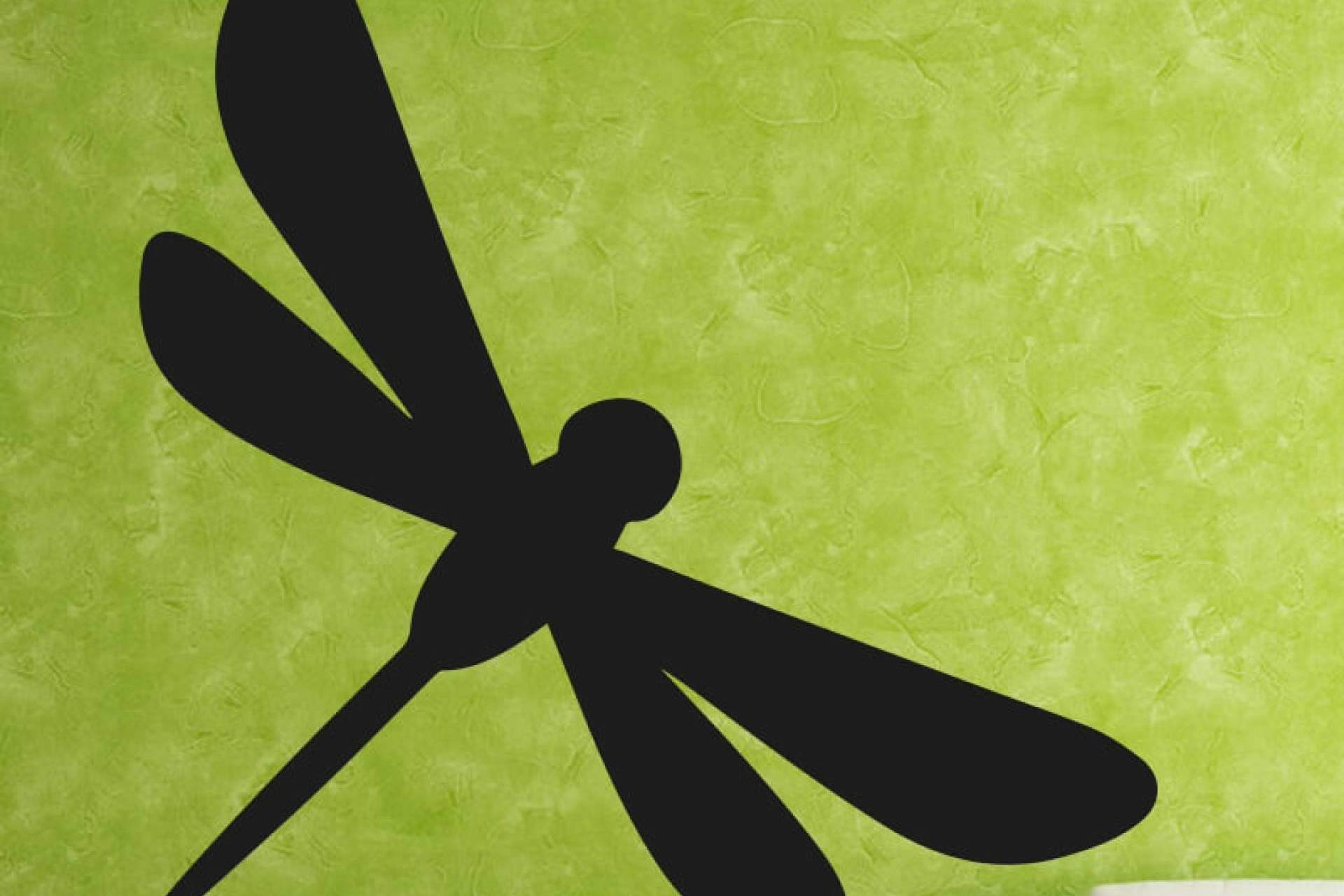 Décimo aniversario de Andiar.com; una década ofreciendo vinilos decorativos y diseño funcional online