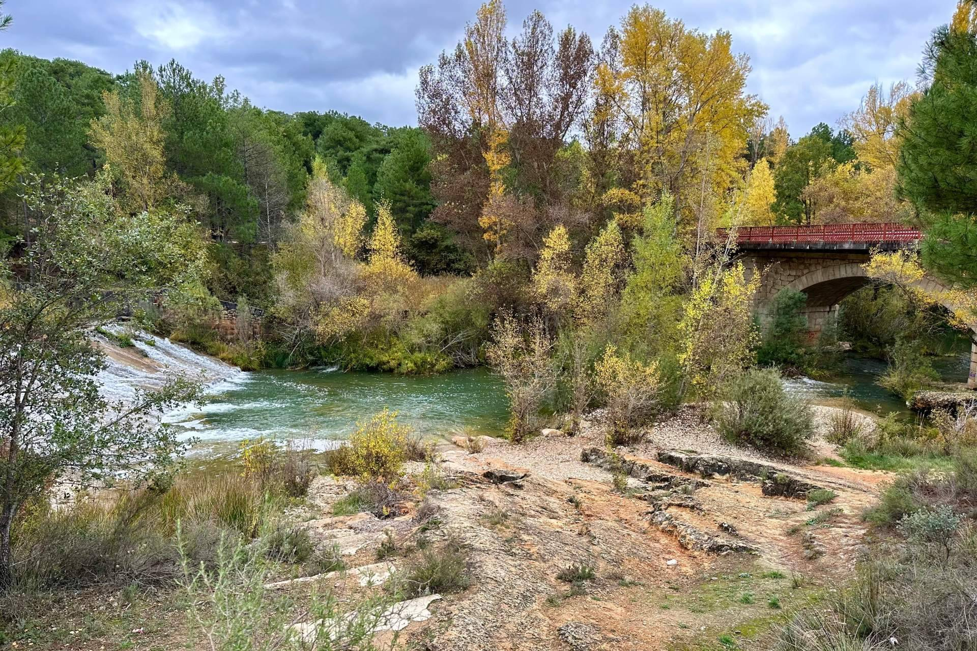 El 'Otoño Rojo' de la Serranía; Cañamares se consolida como destino fotográfico de temporada