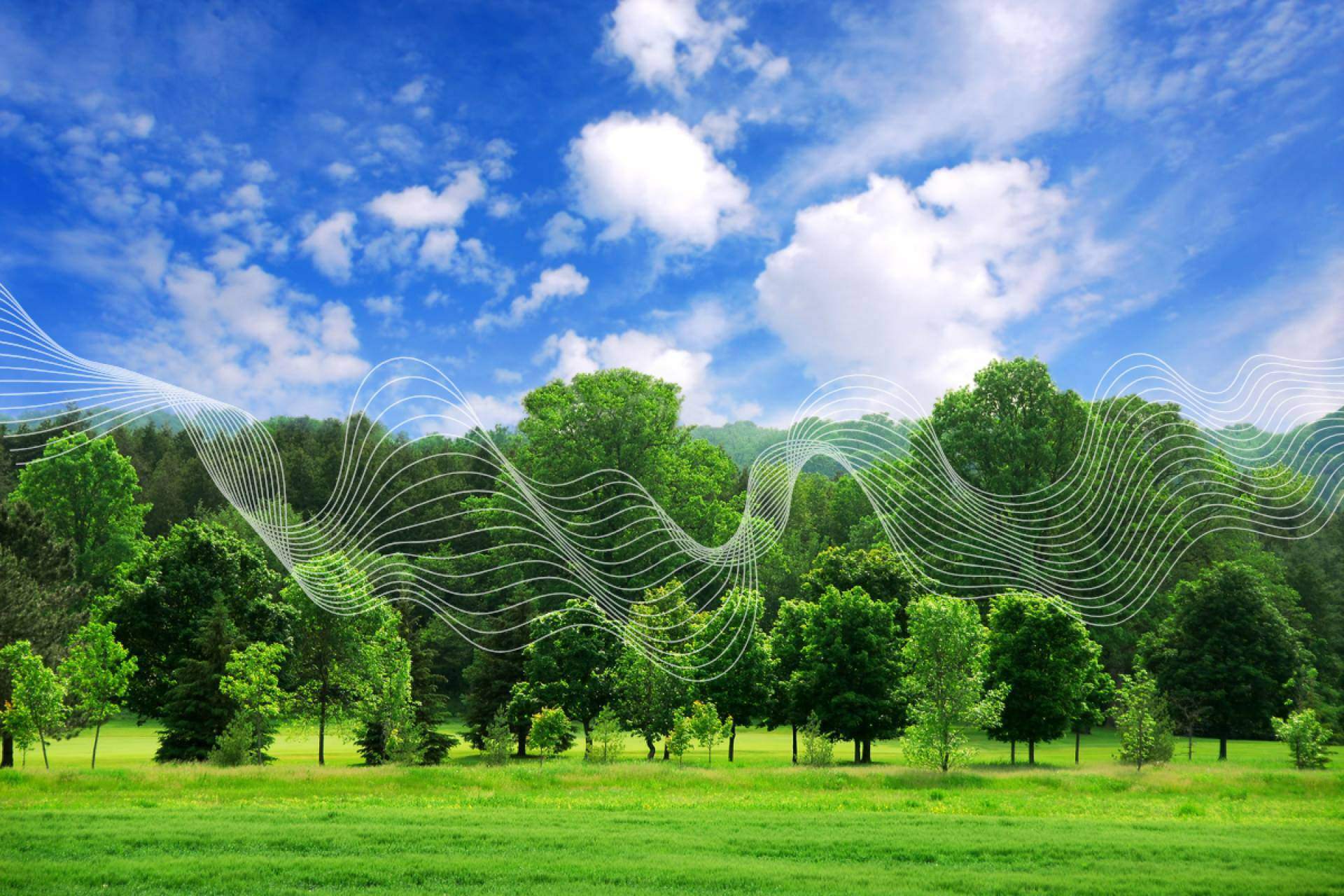 El impulso tecnológico de CO2 GESTIÓN para transformar el sector forestal