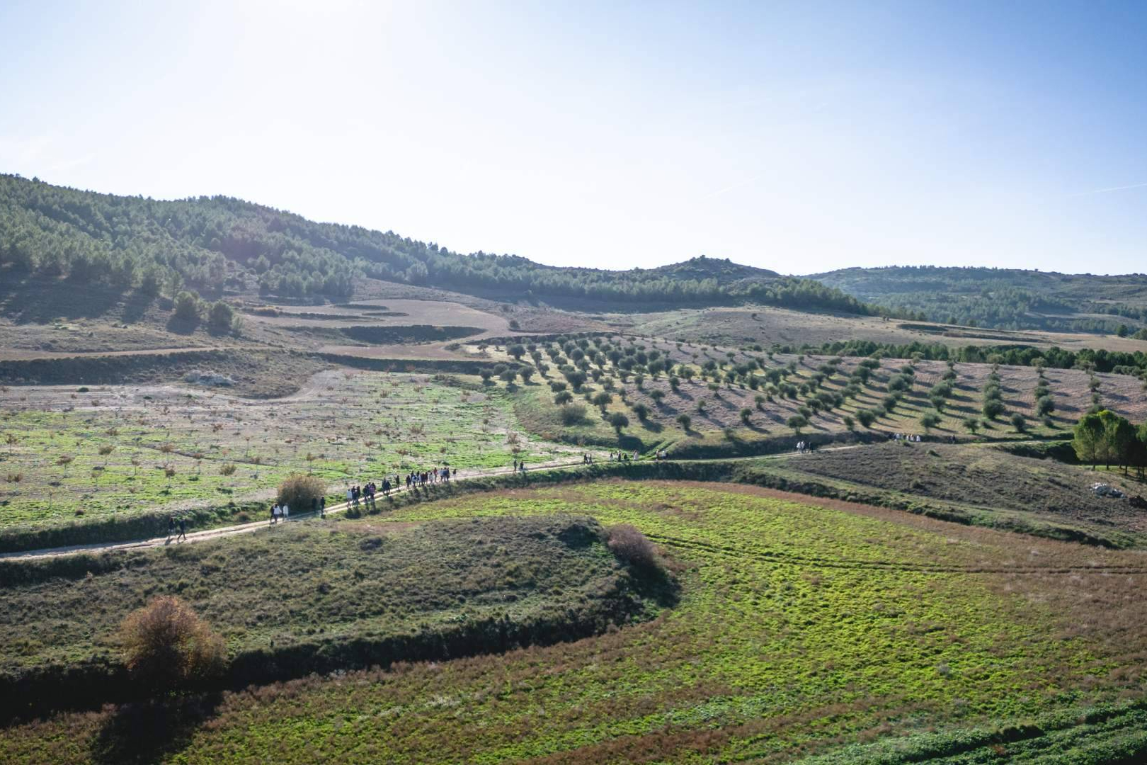 La reforestación impulsa empleo y actividad económica en zonas rurales