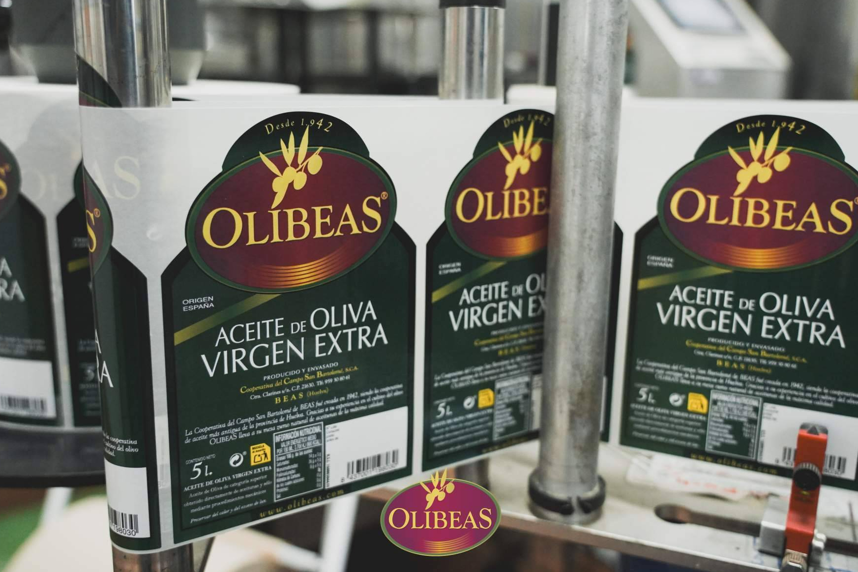 Aceite de oliva de nueva cosecha; claves para elegir calidad y origen