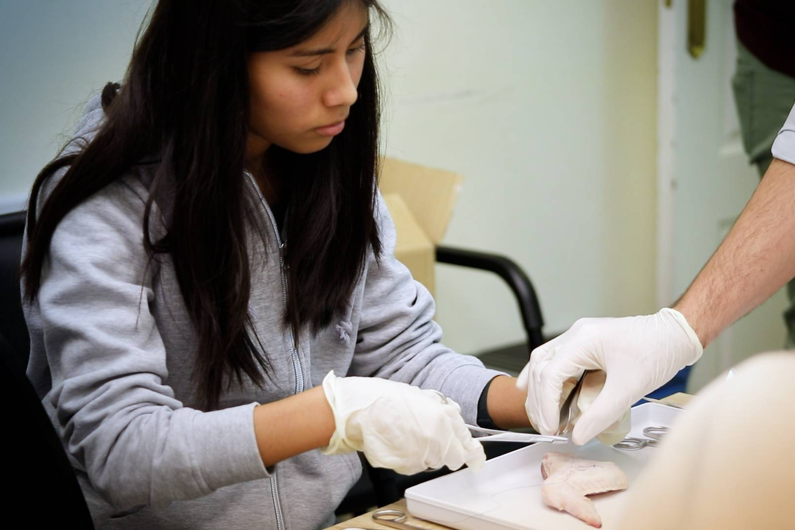 Auxiliar Técnico Veterinario; ISED combina clases presenciales, online y Homeclass con sesiones en directo