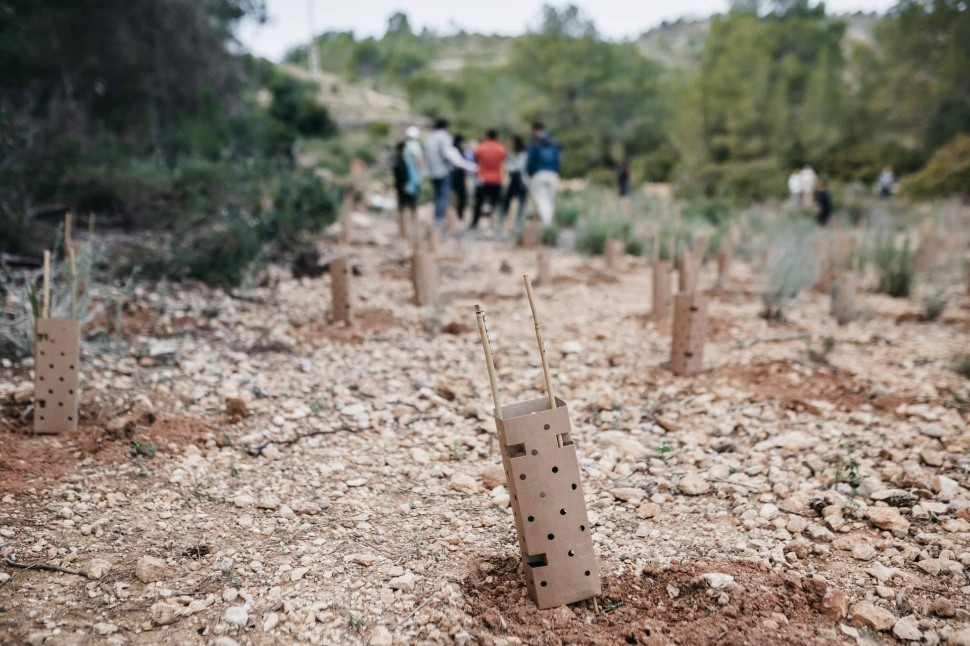 Día Internacional de los Bosques, la reforestación conecta empresas y territorios en la Comunidad de Madrid